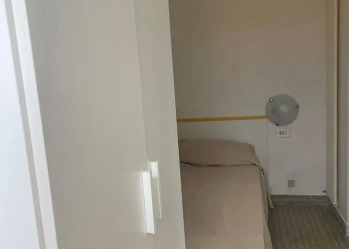 Re Leone רימיני